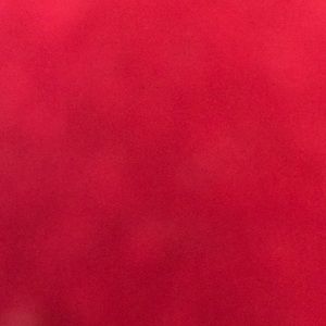 Meet your Posher, Fiza